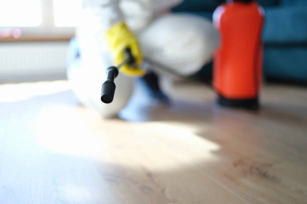 Best Air Quality Testing for Mold Spores  in Brentwood, NY