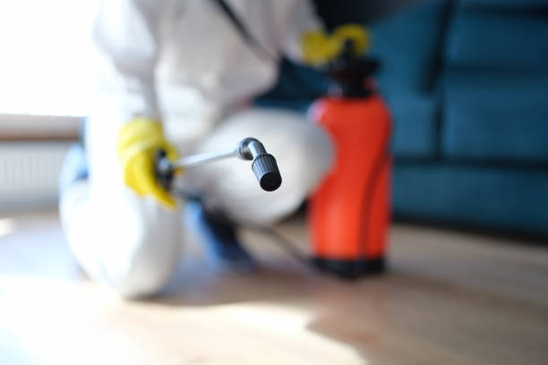 Best Asbestos and Lead Testing During Mold Inspection  in Brentwood, NY